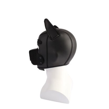 SINS MASK